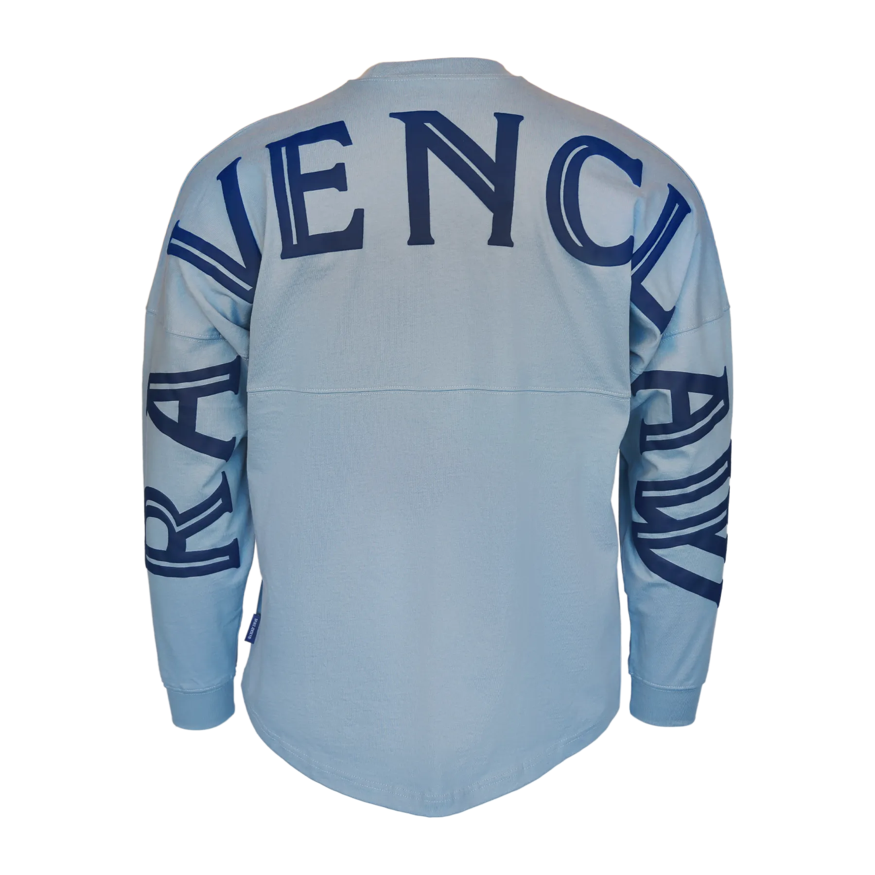 Mineral Mascots Spirit Jersey Ravenclaw B