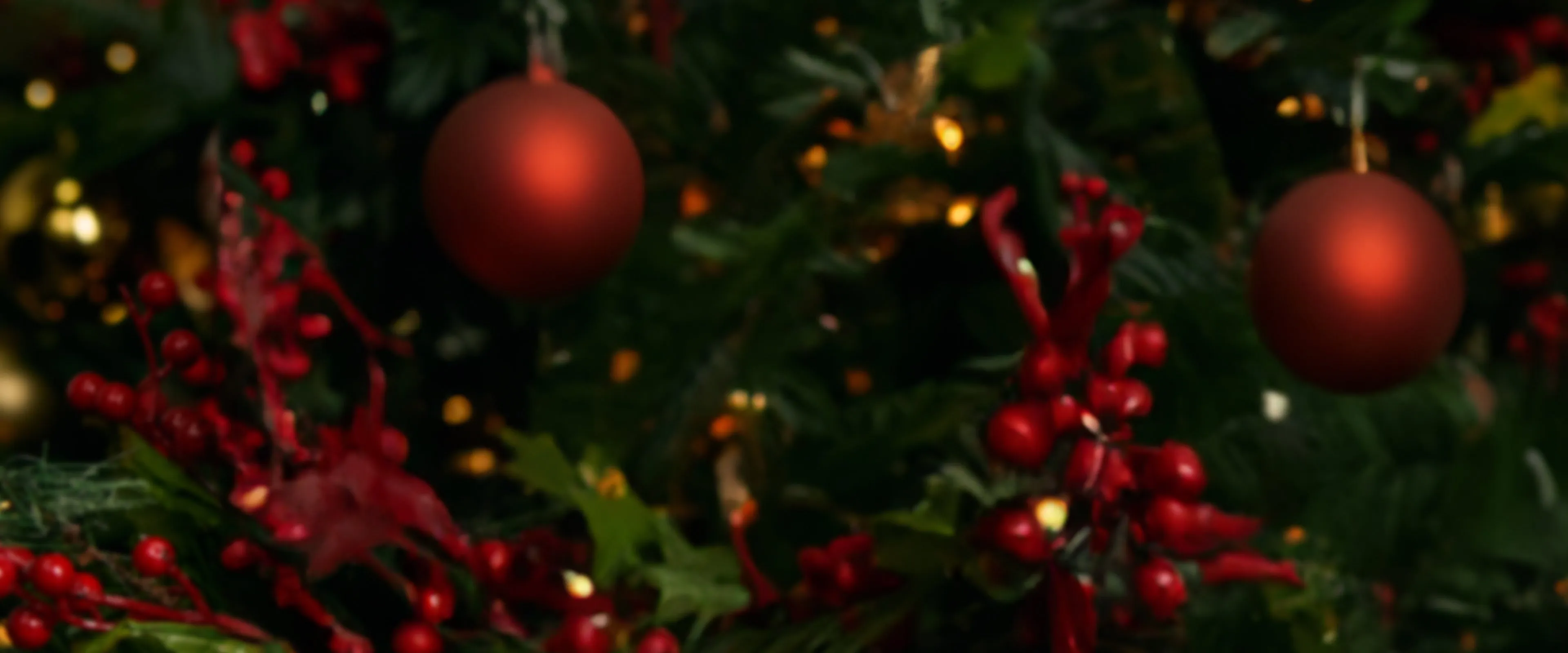 12 DAYS WEB BANNER DAY 1